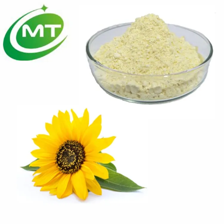 Free Sample Organic Memory Aid 98% Sunflower Lecithin Powder Sunflower Seed Extract Powder for Brain Health