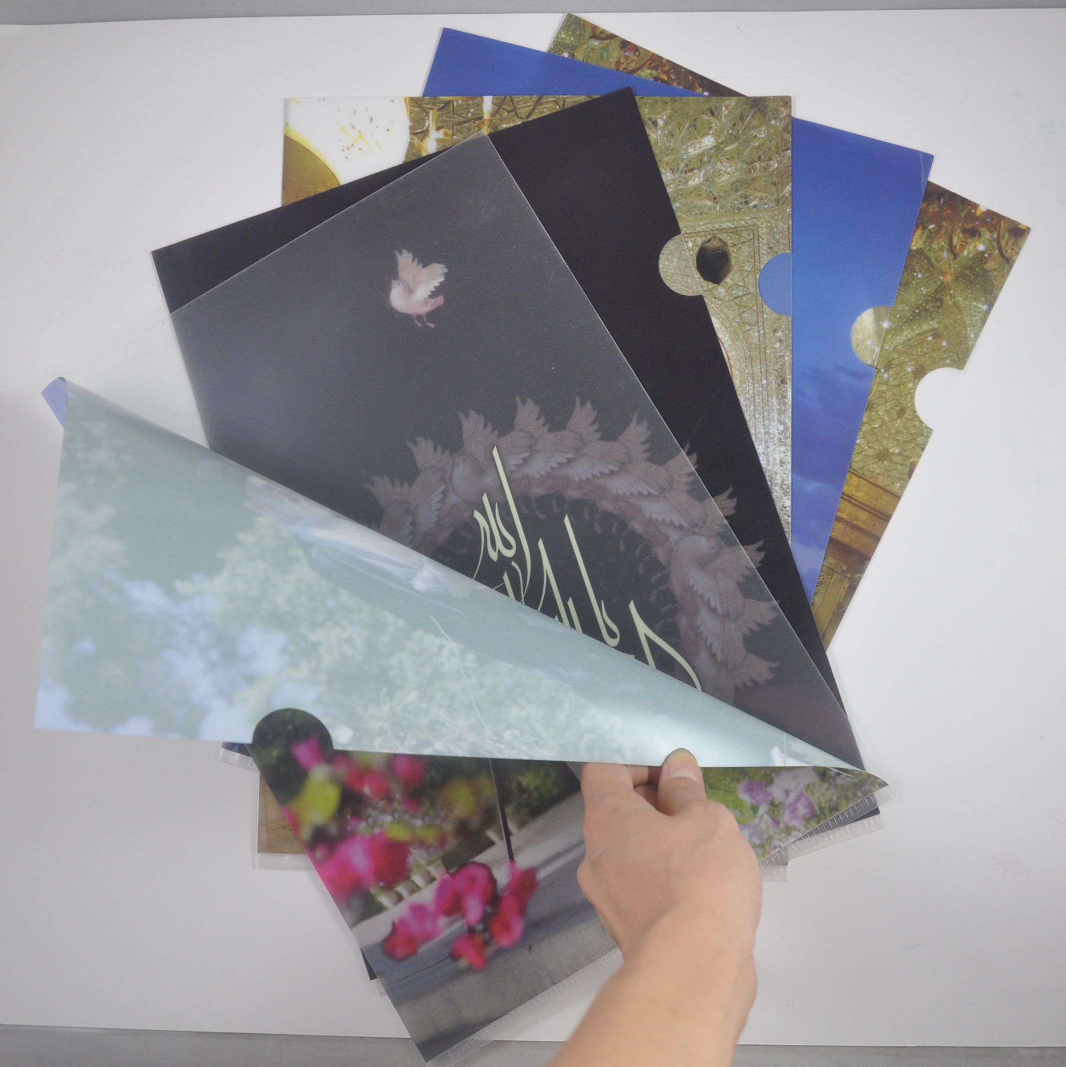 Delicacy design paper file folder /full color transparent file folder