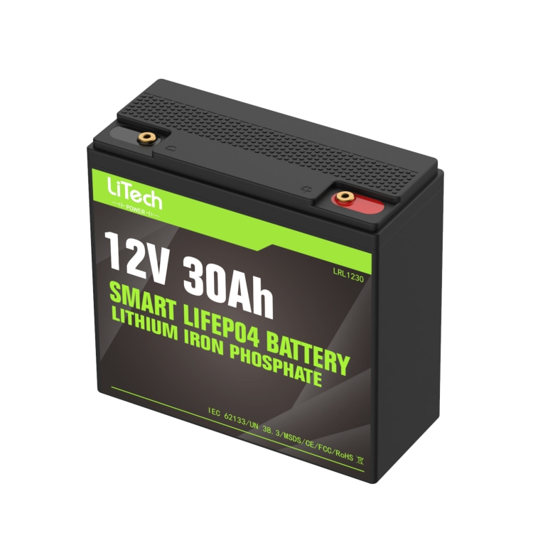 LiTech мощность LiFePo4 4S 12V/12,8 V 30Ah литий-железо-фосфатных аккумуляторов и литий-железо-фосфатный падение-в аккумуляторная батарея для зарядки Ноута и сотового телефона маскарадный костюм свинцово-кислотный аккумулятор AKKU