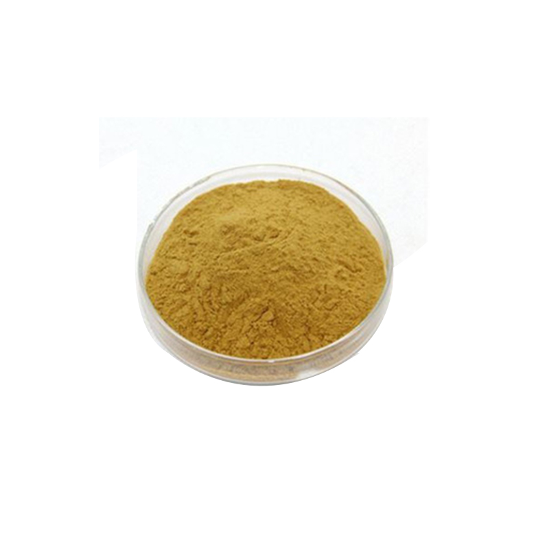 Olive Leaf Extract Oleanolic Acid Powder Nutrition Supplement