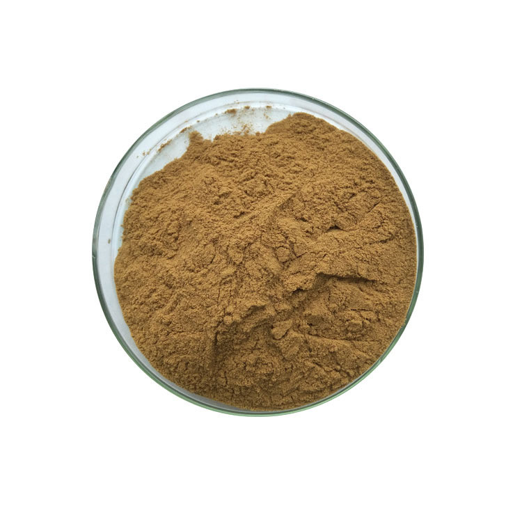 Food grade natural garlic extract garlic bulb extract