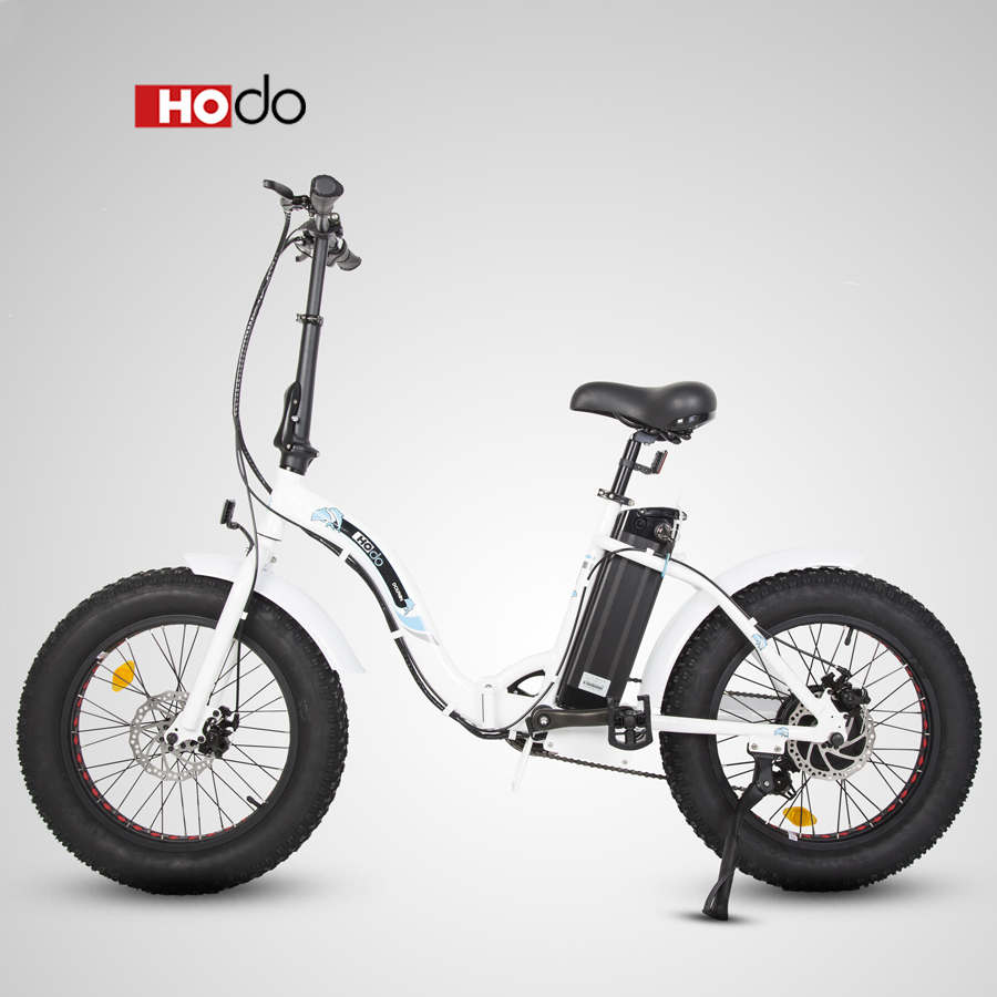 HOdo Sports 350W Fat Tire Folding Electric Bike with Pedals 20inch Foldable Ebike With Very Cheap Price