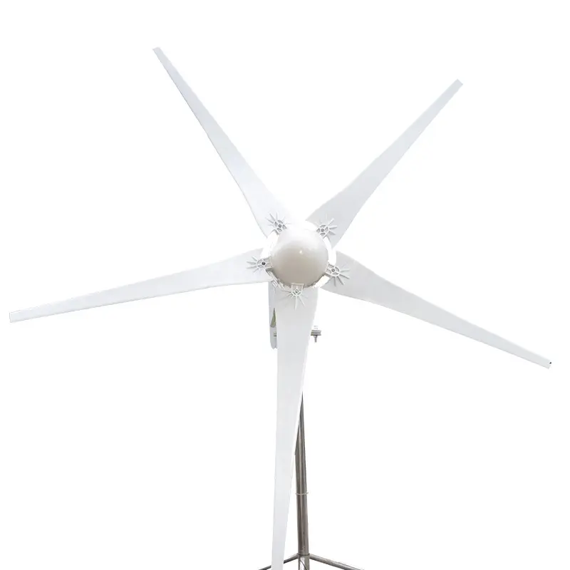 2000W Wind-solar Hybrid Home Wind Power Generation Five-blade portable manufacturers 48v wind generator turbine price