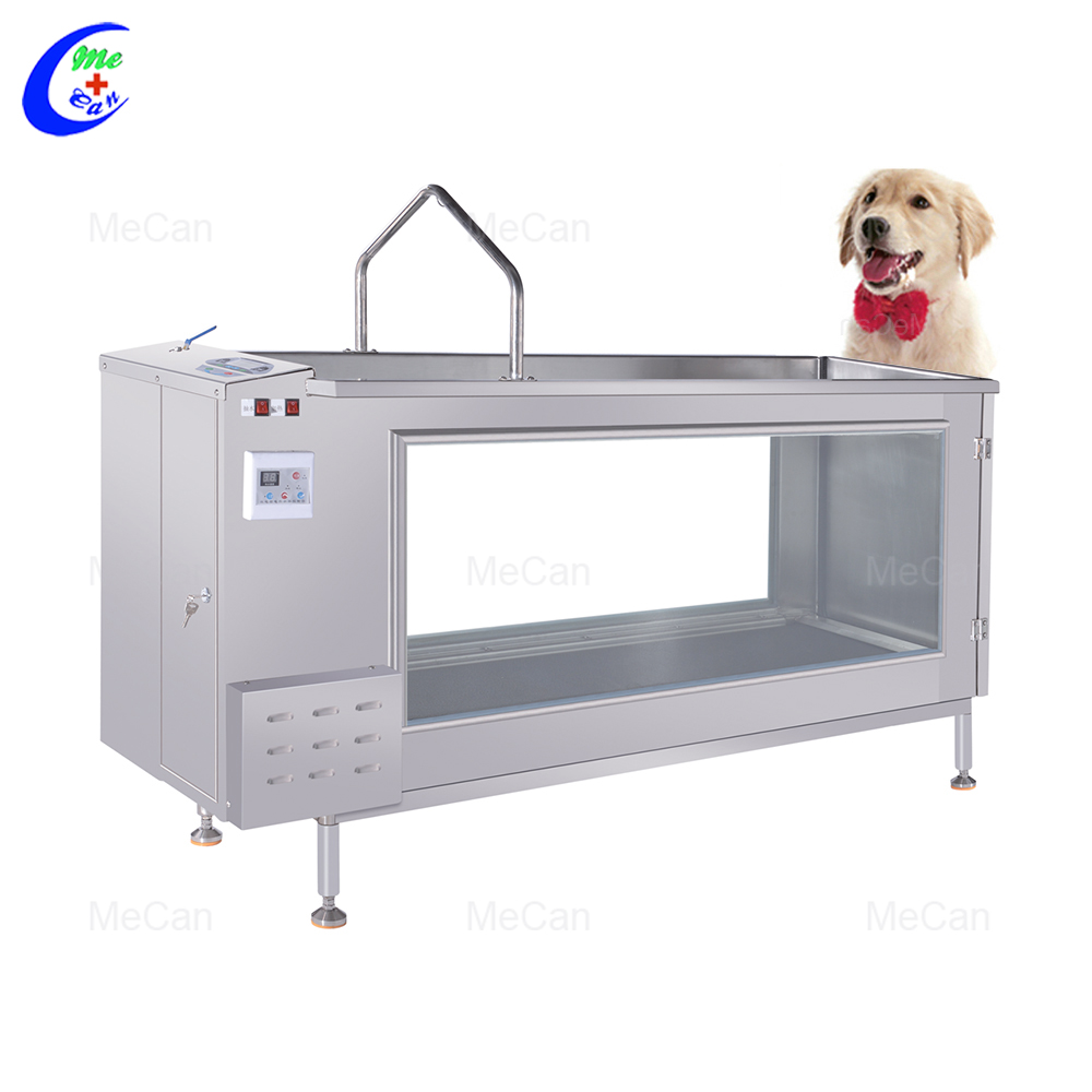 fast delivery veterinary dog hydrotherapy underwater treadmill