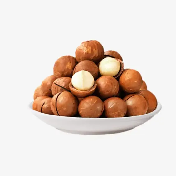 Online Wholesale Cheap Prices Professional High Quality Raw Macadamia Nuts For Home Eat