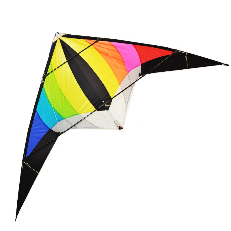 Customized Outdoor toys dual line delta stunt kite for advertising