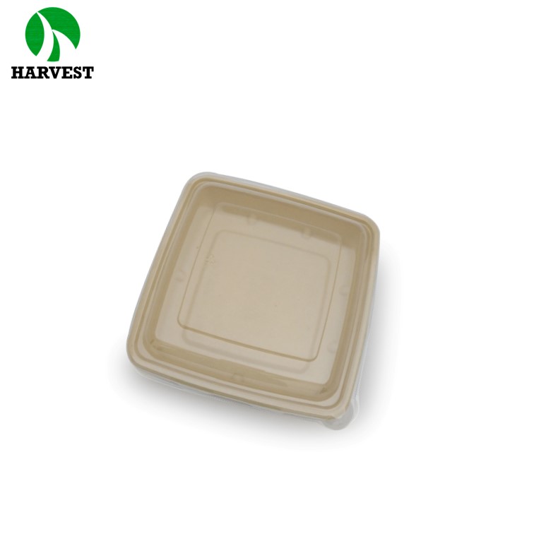 Disposable compostable eco friendly takeaway fiber pulp food container