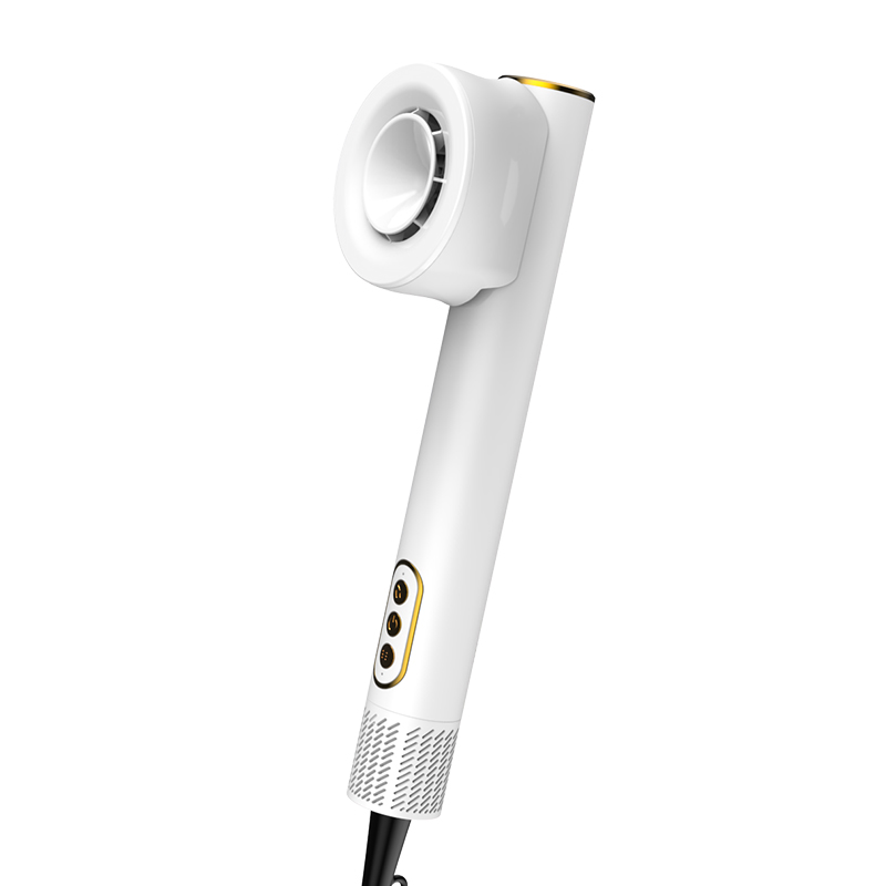 New Design Wholesale High Quality Electric Hair Ionic Supersonic Powerful Professional Hair Dryer