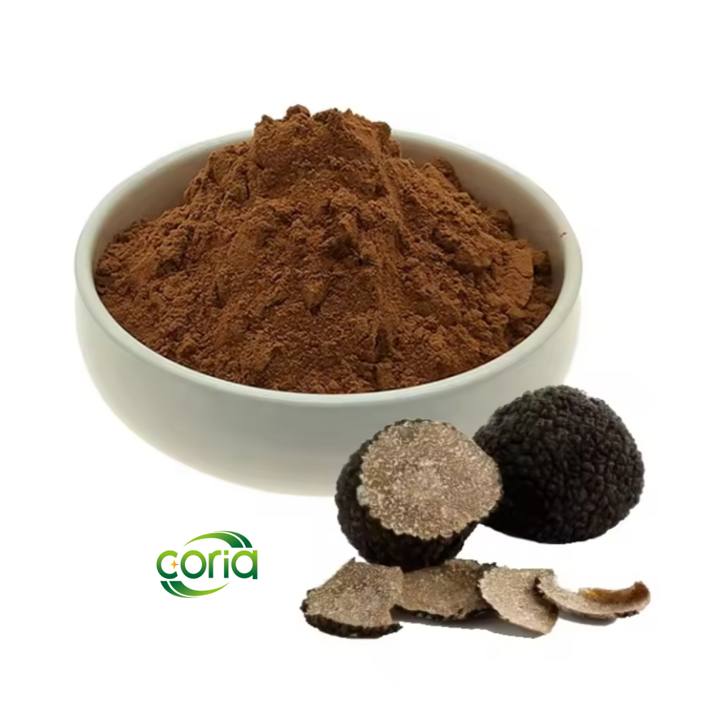 High quality truffles mushrooms price black truffle extract powder
