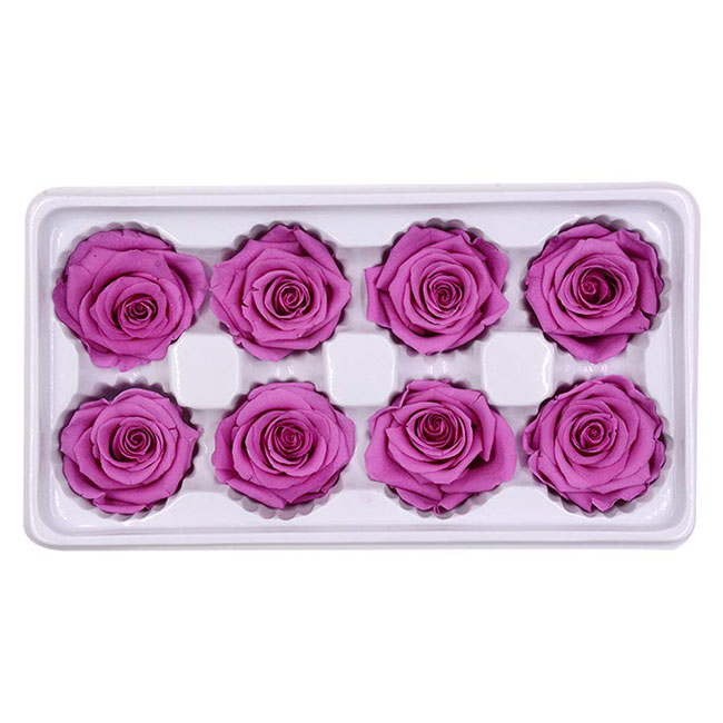 Настоящая свежая Роза ajas de flores secas Real flores naturais