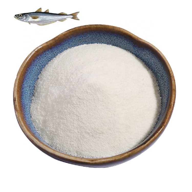 Fish Collagen Protein Powder Good Solubility High Quality Collagen