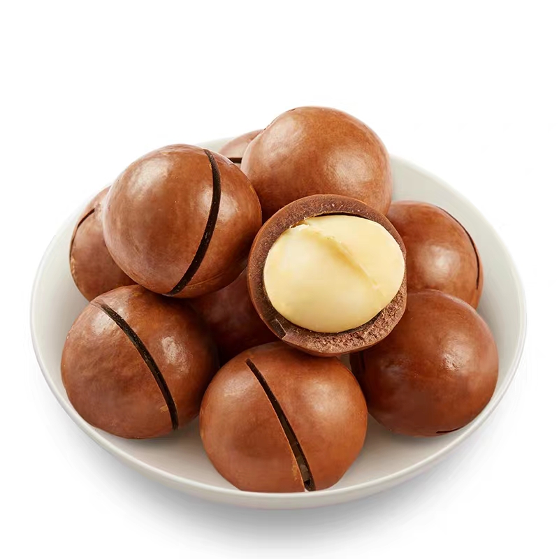 Hot Selling Large Daily Nuts Delicious Hand-peeled Macadamia Nuts