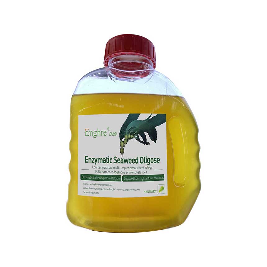 High quality enzymatic seaweed extract oligosaccharide fertilizer liquid plant biostimulant