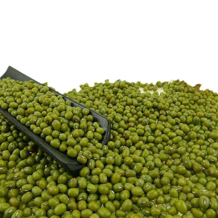 Small Size,2.6mm-3.5mm High Quality Moong Dal Price Green Mung Beans For Sprouting