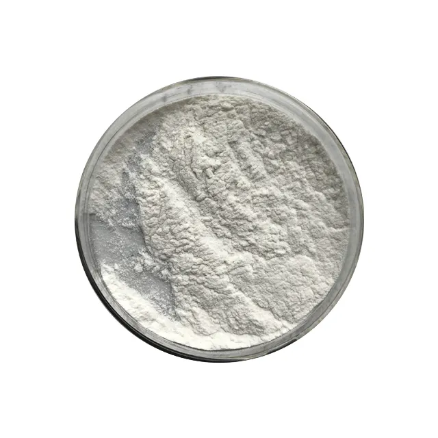 Bulk Price Chitosan Powder Chitin