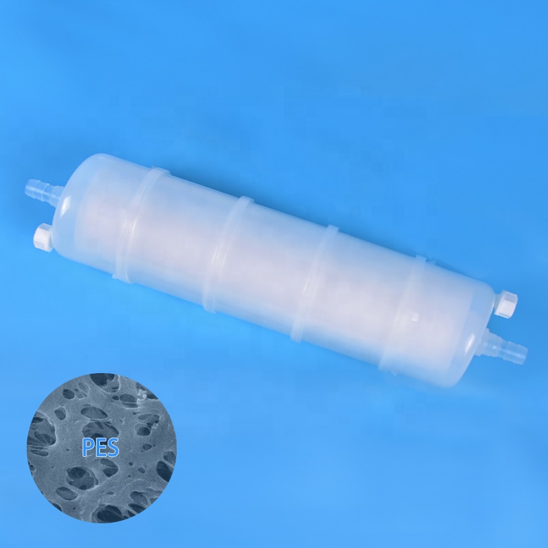 Polyethersulfone Membrane PES-APS 10'' Capsule Filter for Biological Pharmacy with Hose Barbs