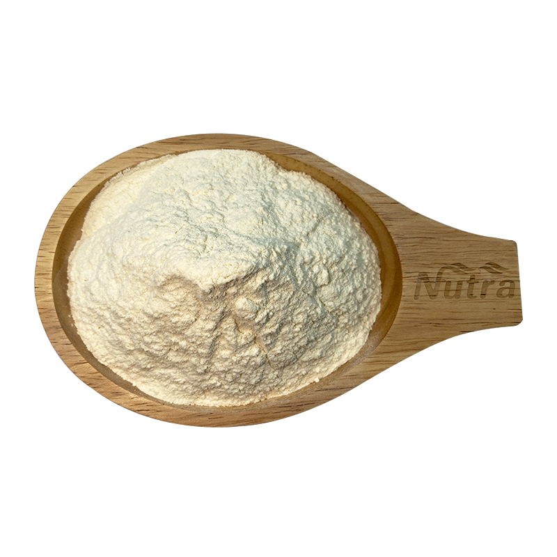 100 % Isolate Natural Organic Rice Protein Powder for Wholesale