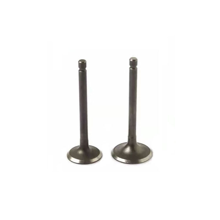 CBZ GL-PRO low price Engine valve Intake valve Exhaust Valve motorcycle spare parts