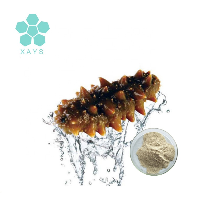 High Quality Natural supplement Sea Cucumber Protein 60% Powder