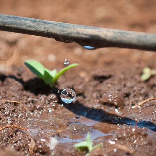 Pandora 10cm 20cm 30cm Space Flow Rate Custom 16mm Agricultural Irrigation Drip Pipe