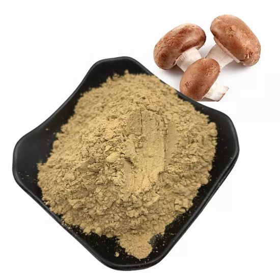 20 ~ 40% полисахарид, экстракт грибов shiitake, пищевая добавка