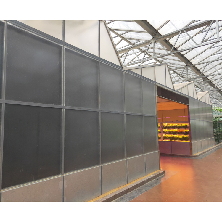 Professional Agricultural Solar Shading And Heat Preservation Hydroponic Farming Multi-span Film Greenhouse