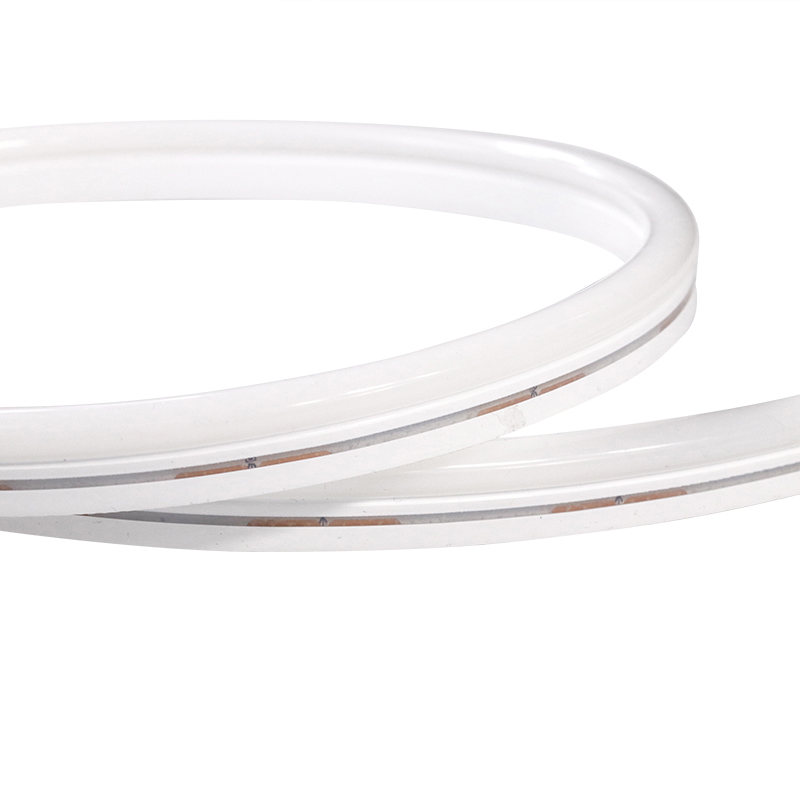 12mm DC24V ip67 commercial outdoor RGB led neon strip
