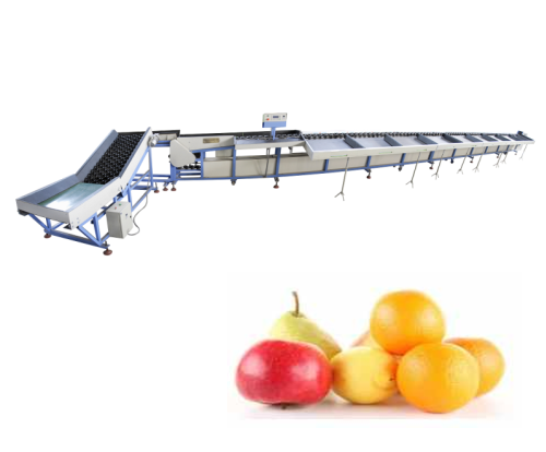 Сортировочная машина для фруктов, сортировочная машина для persimmon weigth