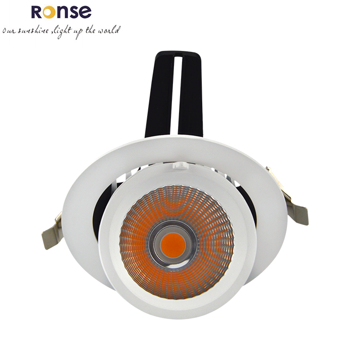 RONSE Nordic Light Lampara De Techo Led Spot Moving Head Light Office Downlight Ceiling Led Spot Bedroom Light Cob Led