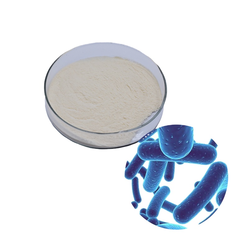 Pyson Bulk Lactobacillus Plantarum Probiotics Powder