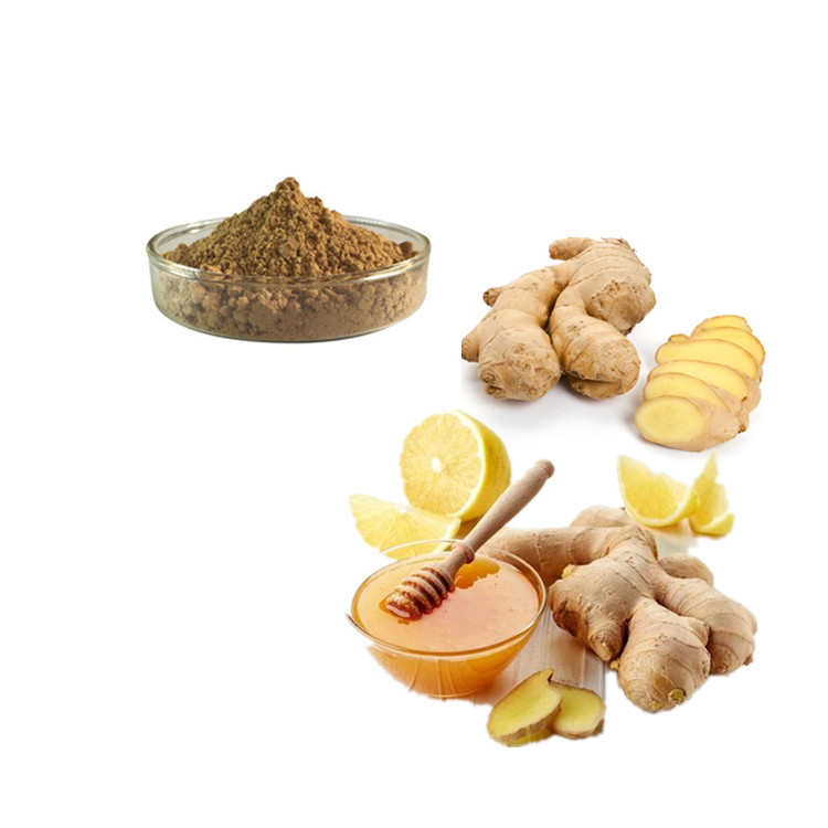 Best Price fresh ginger gingembre turmeric extract