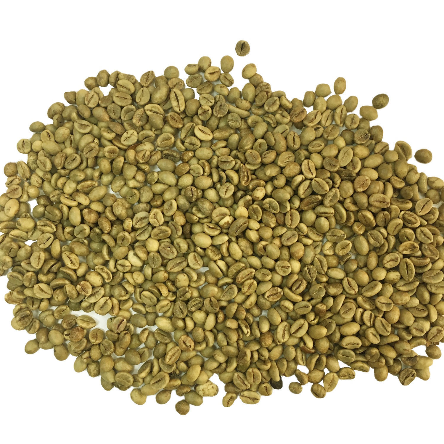Оптовая продажа высокое качество Robusta кофе в зернах экран 18 из Вьетнама с конкурентоспособной ценой