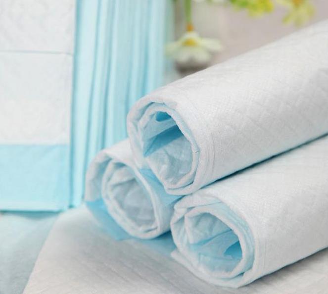 Hot Selling Indoor Puppy Disposable Dog Toilet Training Pet Pee Pad