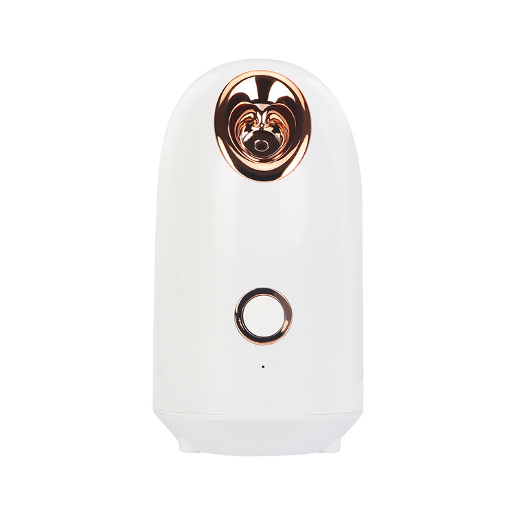 Private Label Wholesale Mist Facial Sprayer Face Steamer