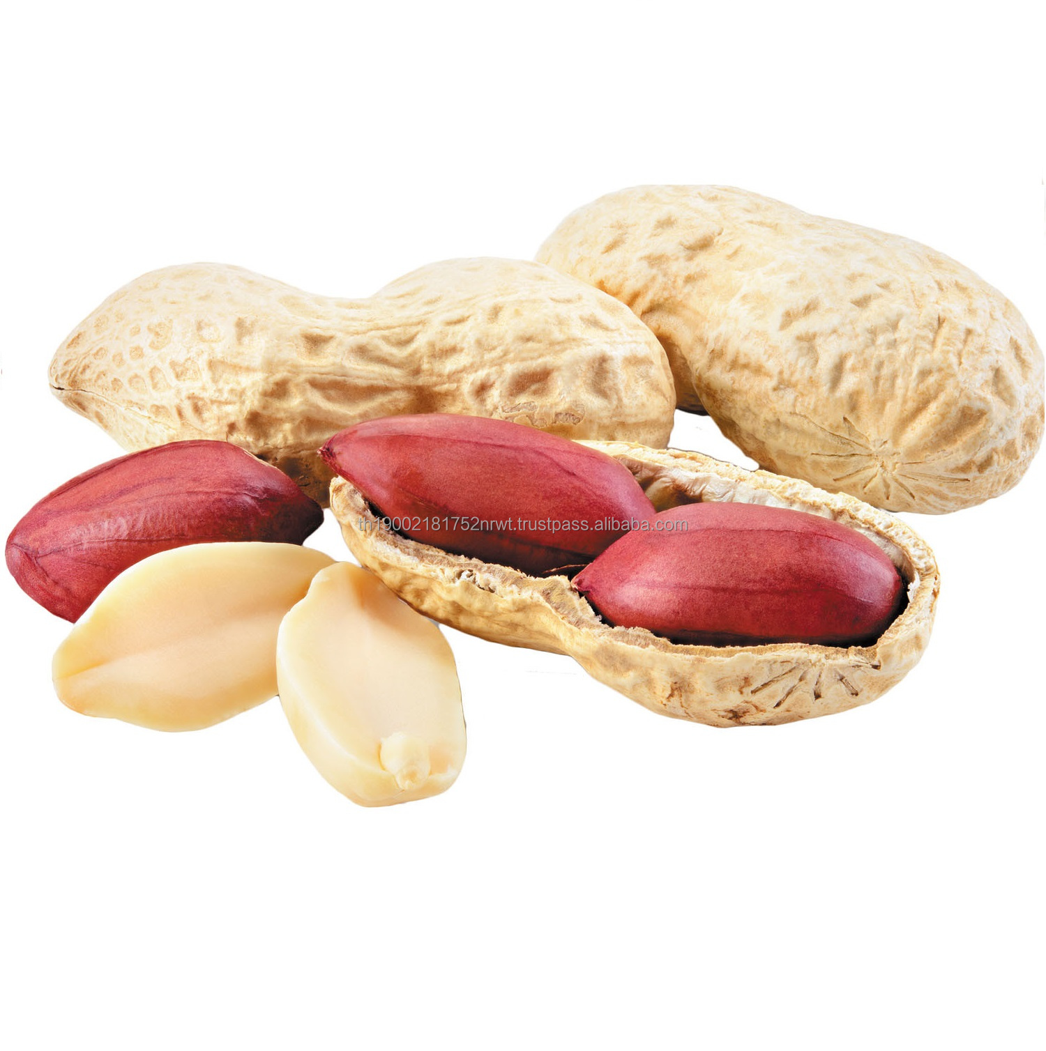Sudanese Raw Peanut Seeds Protein Supplements Raw Peanuts 100% Natural Raw Material Agriculture for Sale