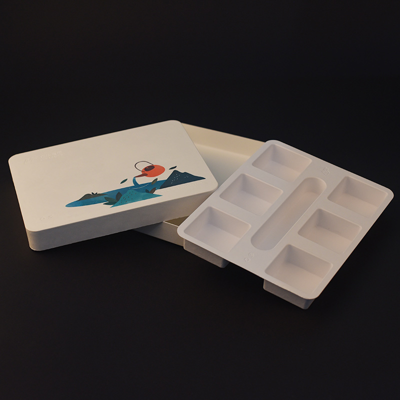 Bagasse Biodegrade Sugarcane Biodegradable Recycled Paper Pulp Tray