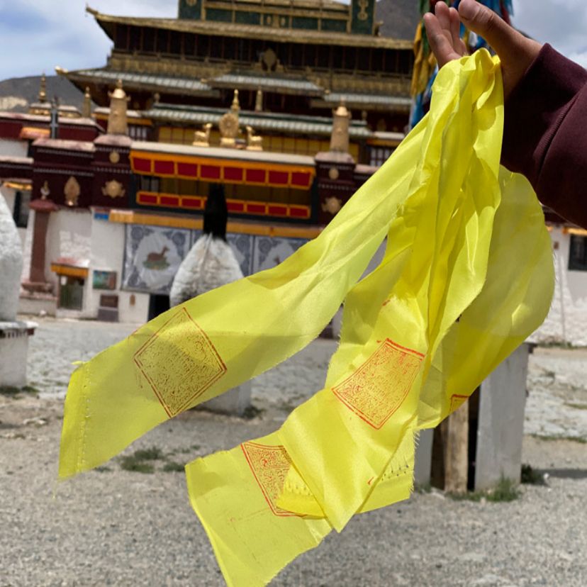 10 шт./лот Xizang Sangye Lian division to bring down the devil печатная ткань полоса