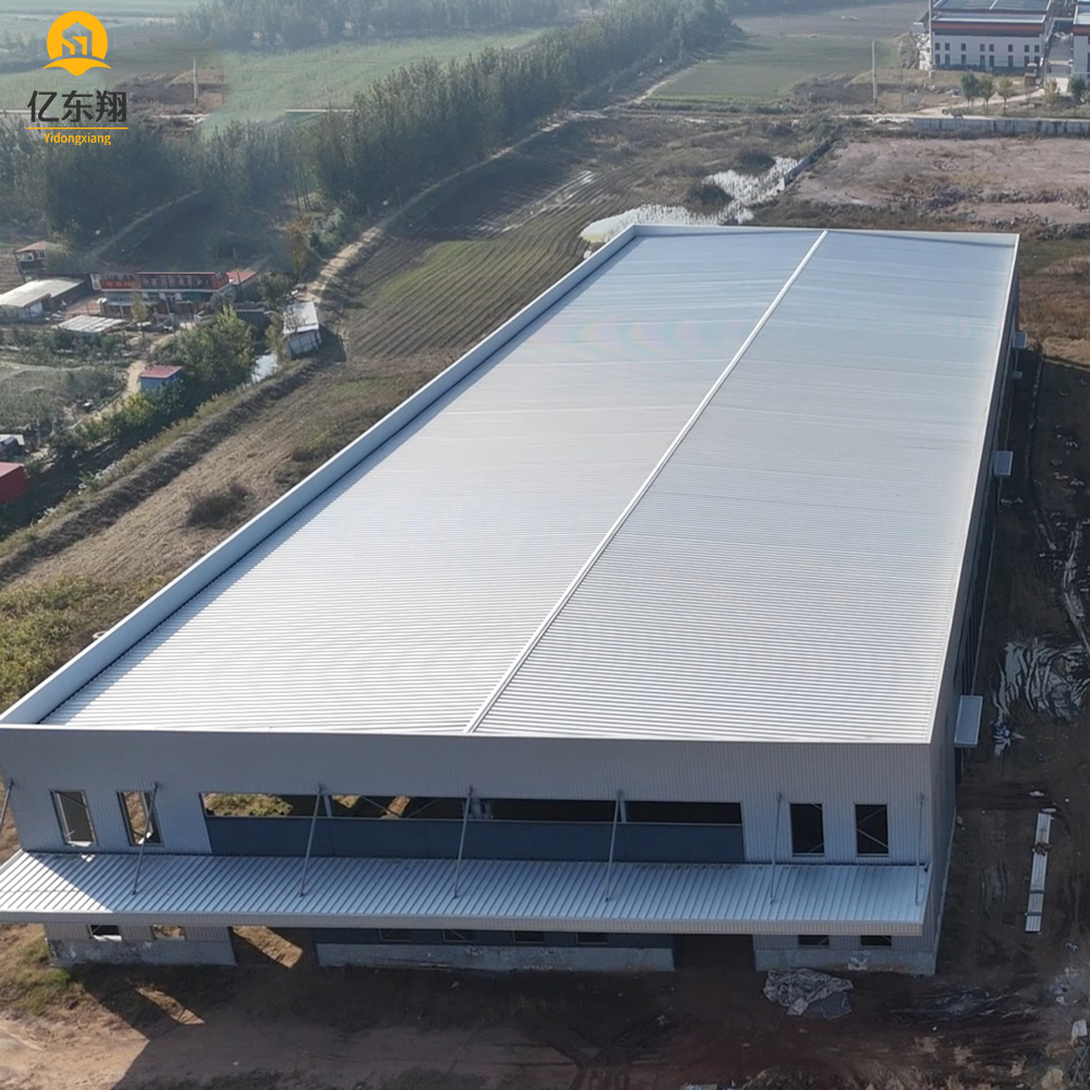 Low Cost Factory Workshop Steel Structure Building Manufacturer/Beautiful and Practical Long Span Steel Structure Building