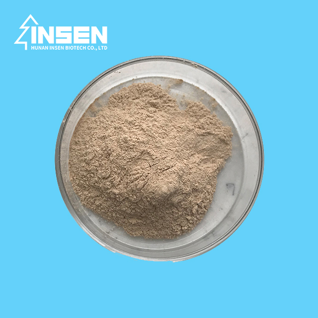 Большой запас Bacillus Coagulans Grey Power