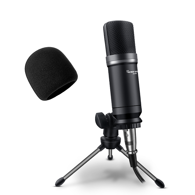 Condenser Microphone Broadcast Microphone 3.5mm Audio to XLR Cable Microphone