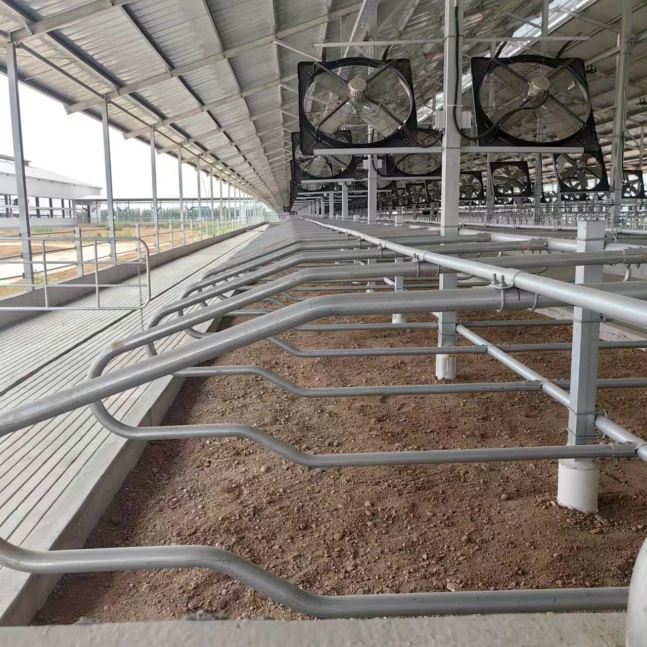 Dairy Cattle Stall Bed and Feeding Fence Cow and Calf Farm Gear Bearing Components for Poultry Field for Retail Industries