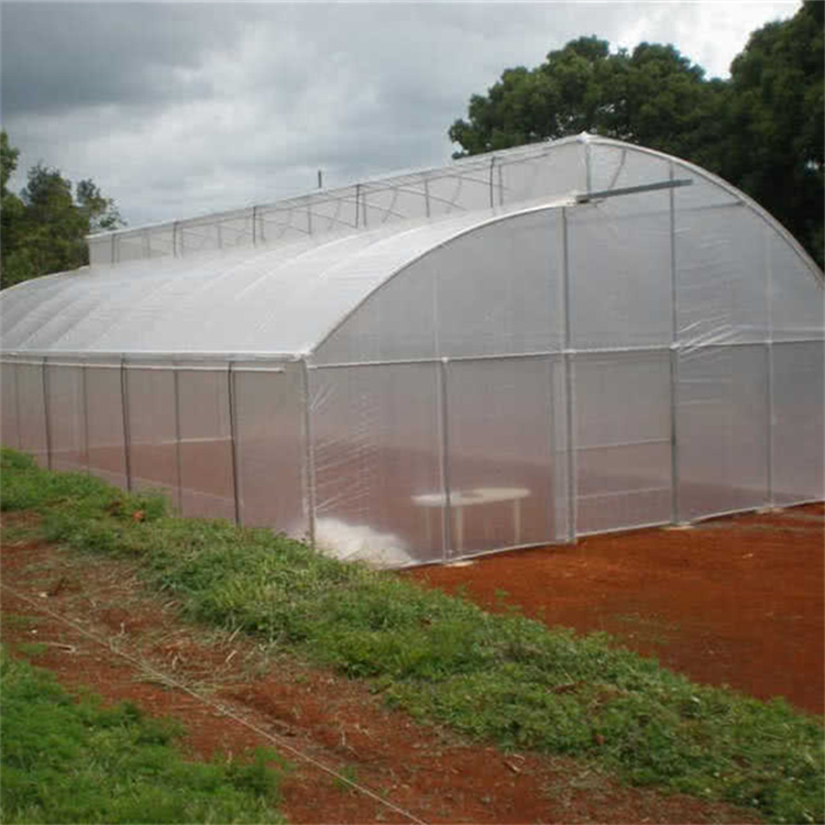 Gothic Greenhouses Tropical Hydroponic Growing Greenhouses Tomato Green House Sawtooth Greenhouse