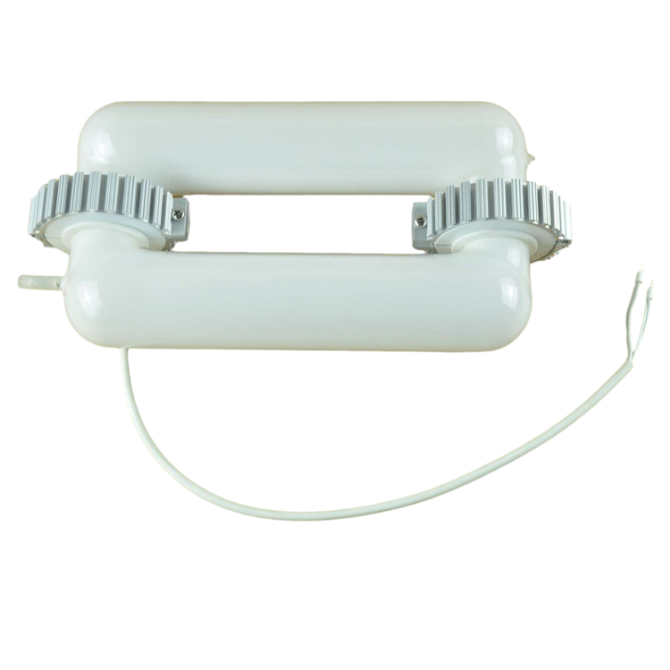 40W 60W 80W 100W 120W 150W 200W 250W 300W 400W 500W Magnetic Induction lamp and ballast
