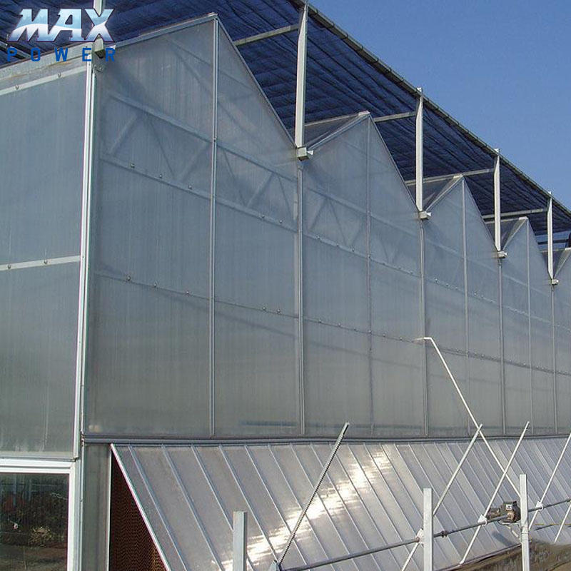 Лидер продаж низкая стоимость прочный ПВХ материал ткани Солнечная теплица