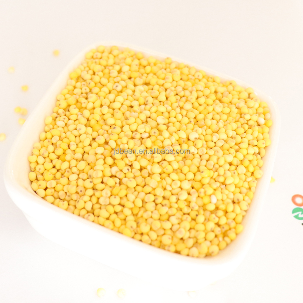 Оптовая продажа, глютиновая желтая кукуруза, просо без шелухи