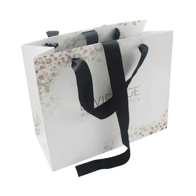 Luxury Custom Design Paper Bags with Your Own Logo Shopping Bags Customized HS Coated Paper Other Gift & Craft Recyclable Accept