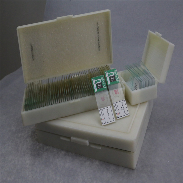 Biology human pathology teaching diagnosis microscope slides used water park slides for wholesales