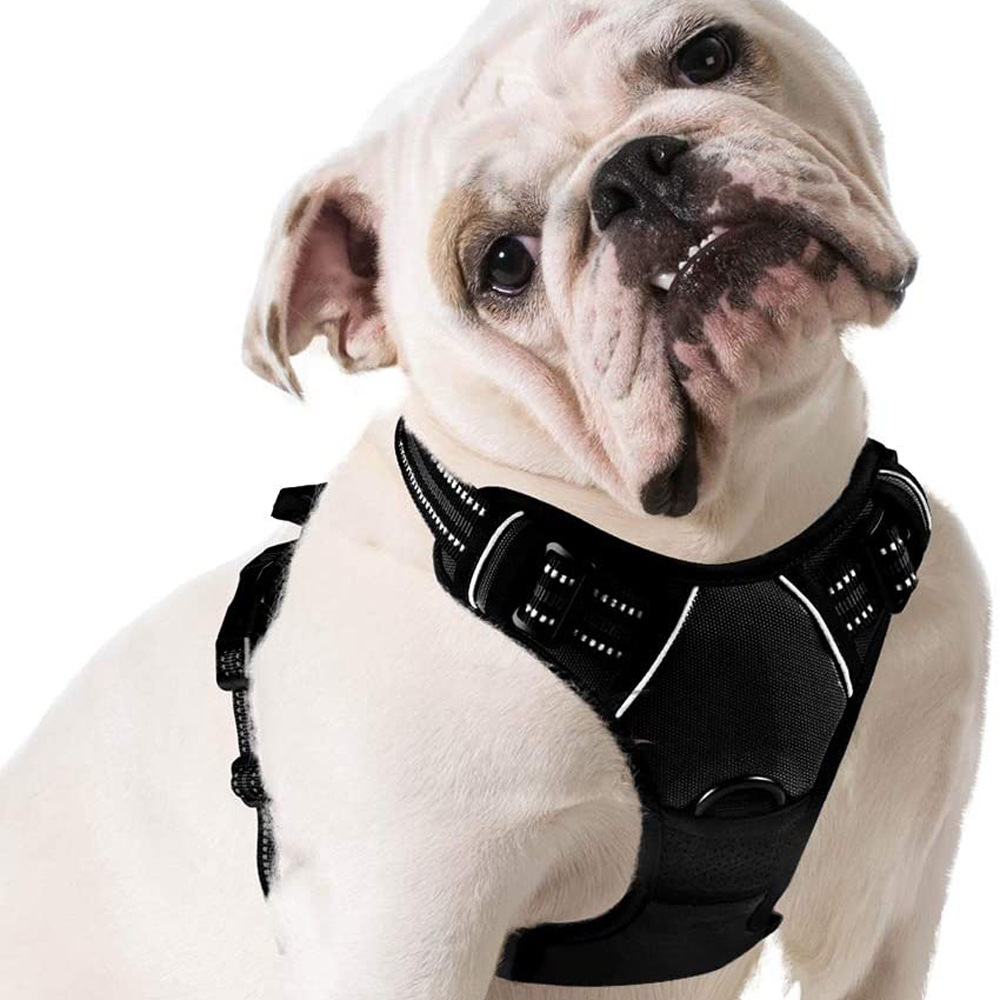 Dog Harness No-Pull Pet Harness with 2 Leash Clips Adjustable Soft Padded Dog Vest Reflective No-Choke Pet Dog Vest