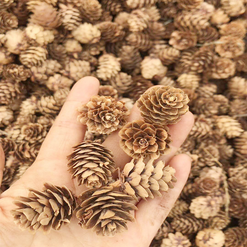 Thanksgiving Mini Brown Christmas Natural Pine Cones Ornaments in Bulk for Home Decoration Fall