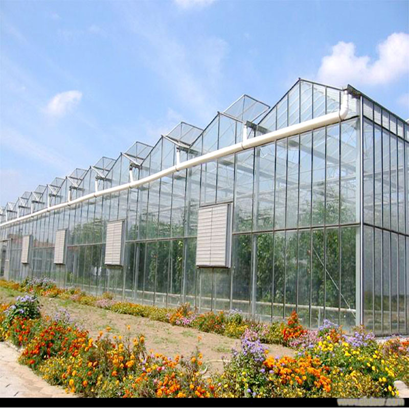 Горячая Распродажа, дешевая многопролетная стеклянная теплица venlo, автомобильная вентиляция крыши